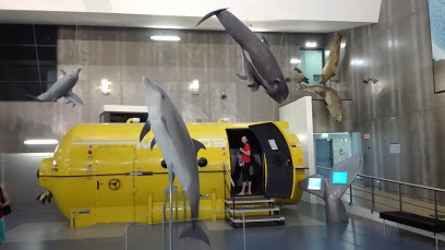 Madeira Whale Museum