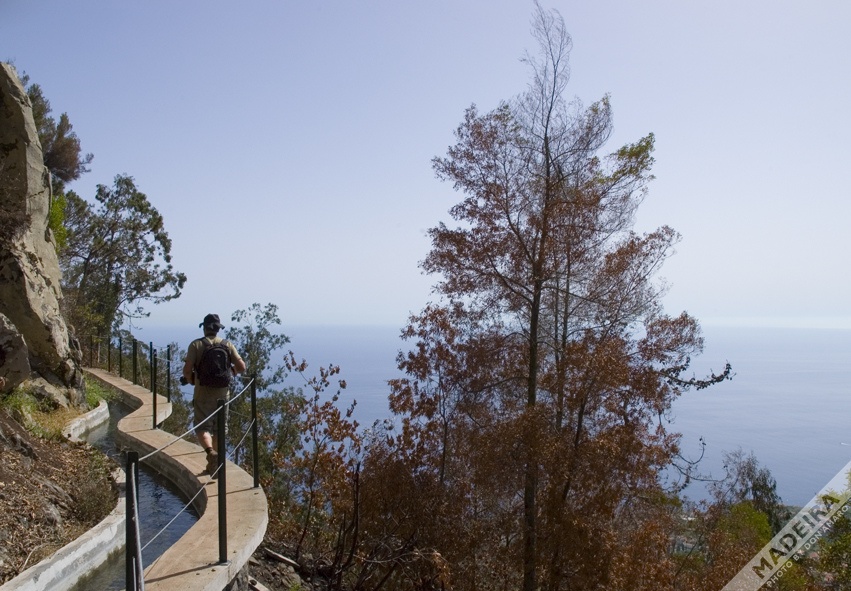 Levada Walk - Madeira by Don Amaro Levada Walk - Madeira by Don Amaro