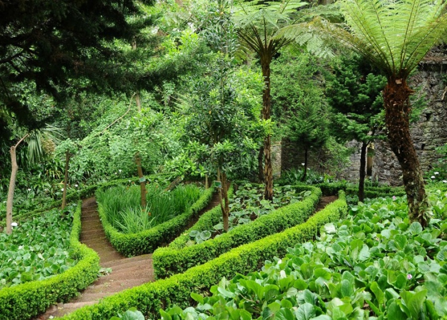 Jardim Municipal do Monte, Madeira