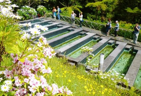 Ribeiro Frio Trout Farm, Madeira Balcoes Walk