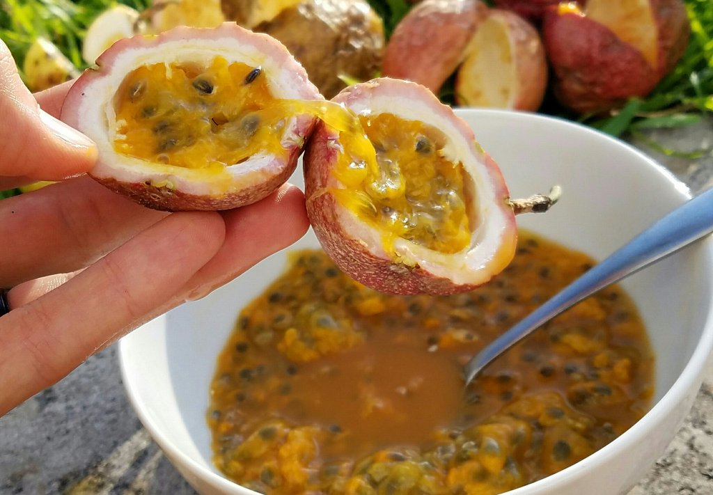 Pudim de Maracuja or Passion Fruit Pudding - Ocean Retreat