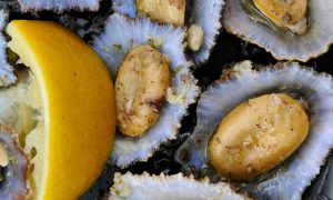 Lapas of Limpets Madeira