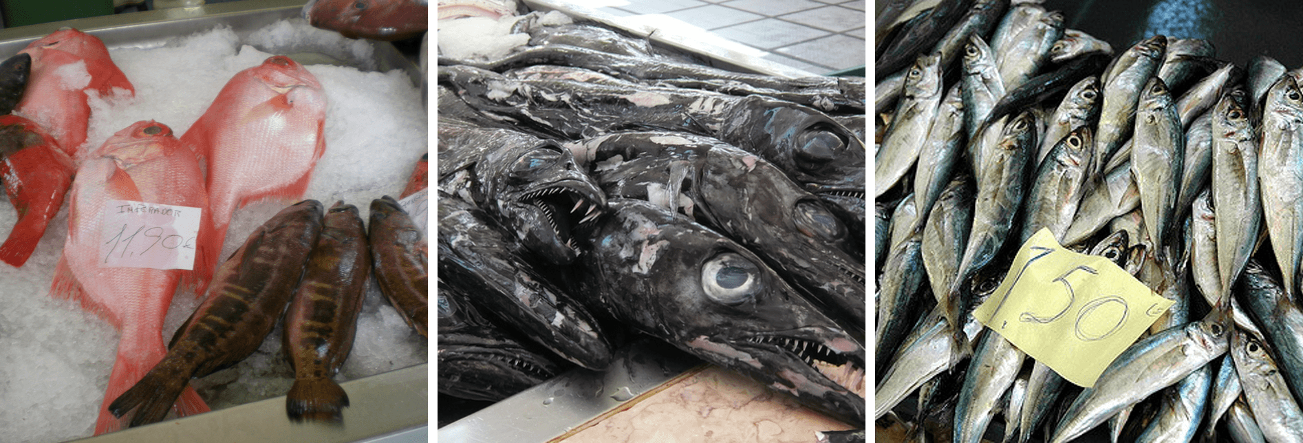 Poisson Madère Portugal Caldeirada Ragoût de poisson