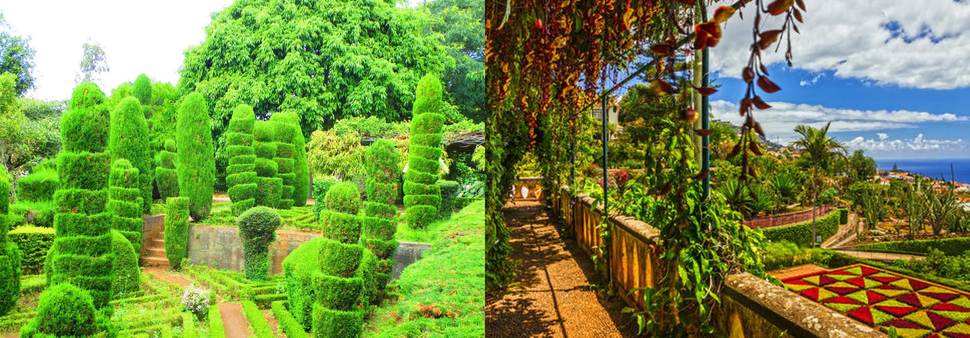 Botanische Gärten Funchal Madeira Portugal