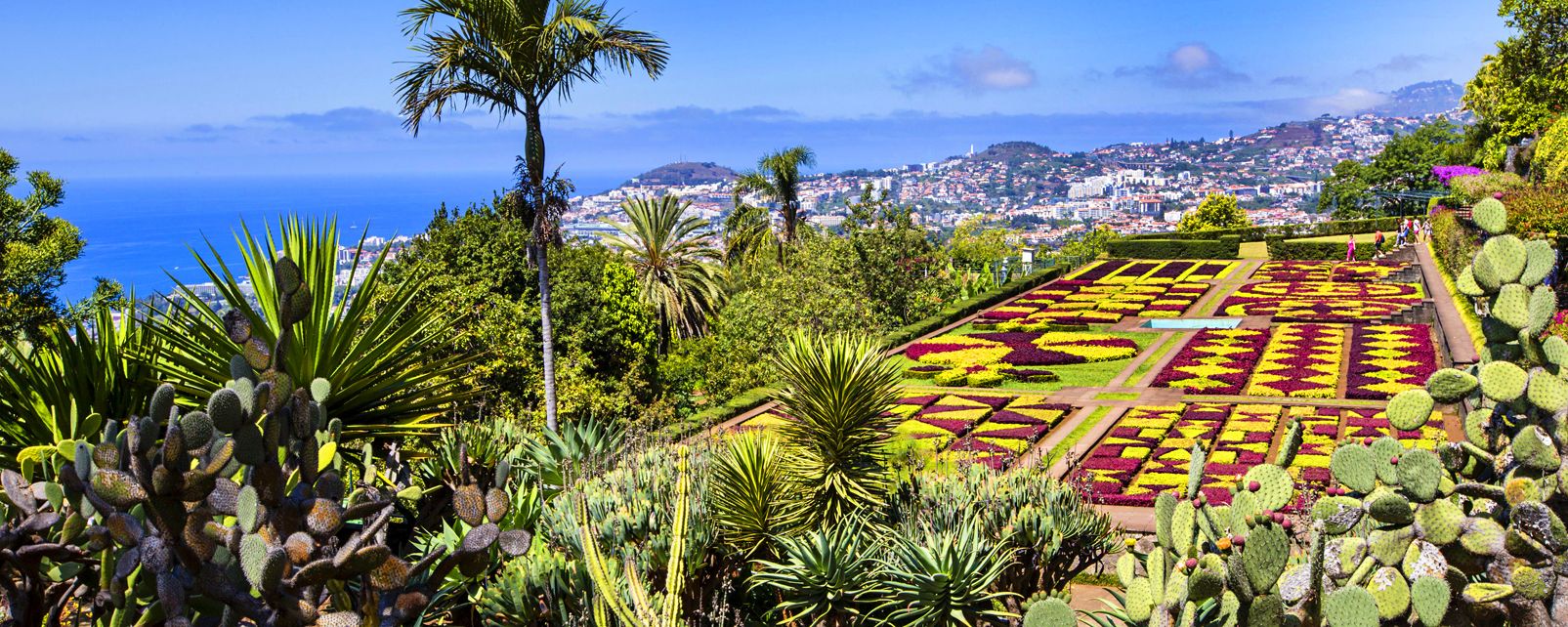 Botanische tuinen Funchal Madeira