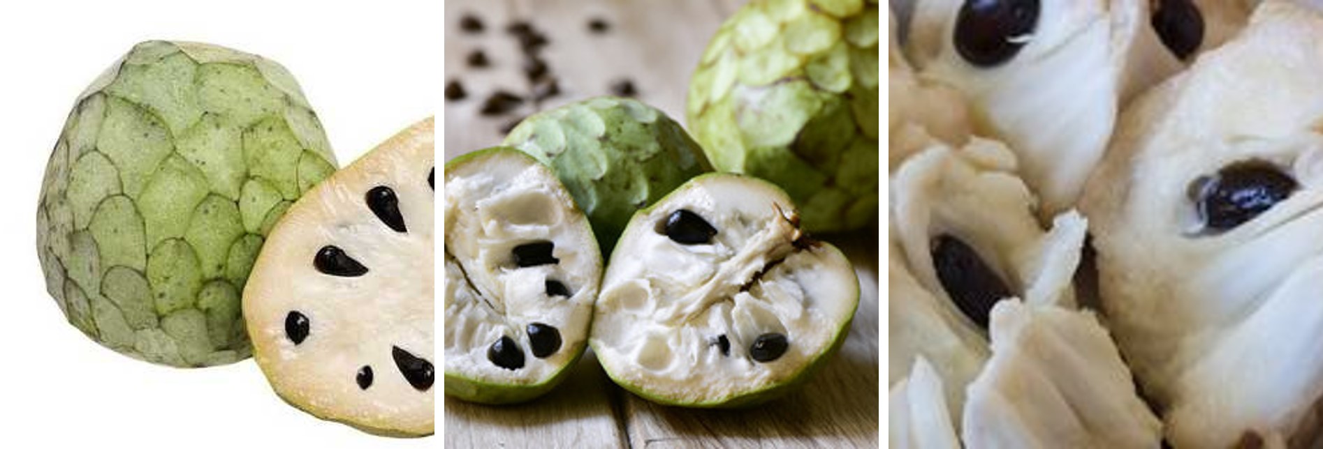 Annona Cherimola Cherimoya Madeira Portugal Obst Anona essen