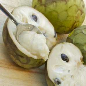 Eat Annona Madeira anona