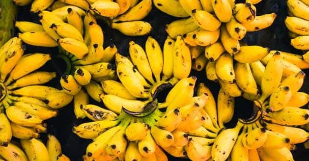 Banana da Madeira Portugal