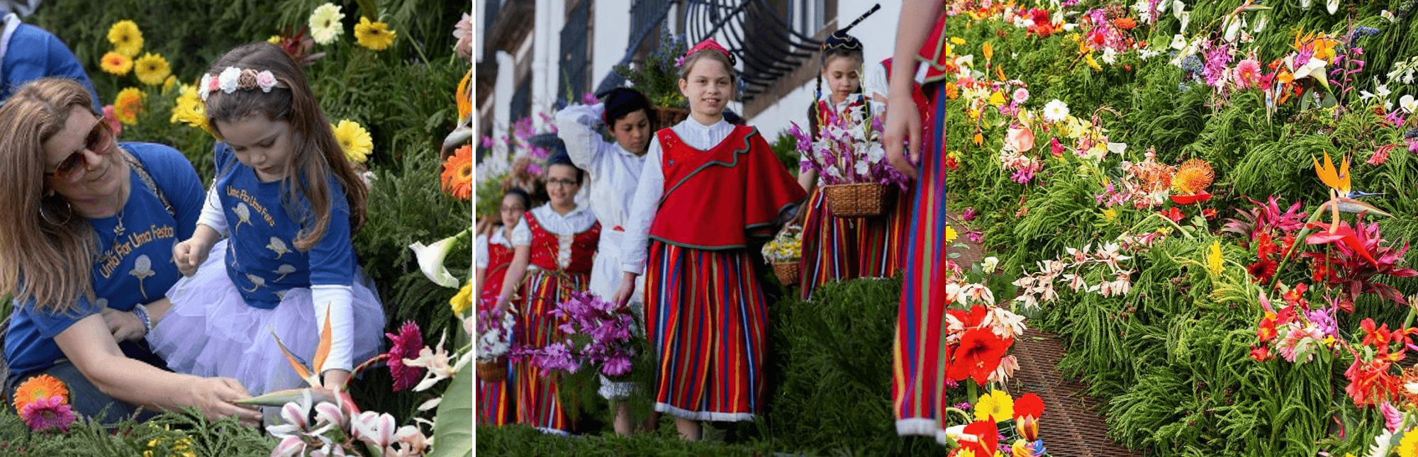 Wall of Hope Flower Festival Funchal Madeira Portugal