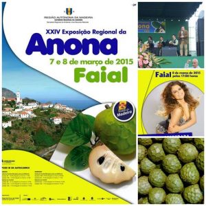 festa anona 2015 Madeira Portugal