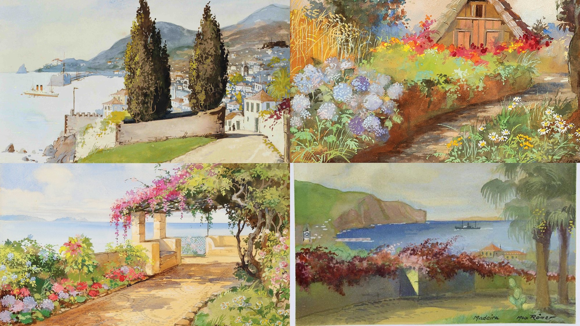 Max Romer Madeira Sceneries