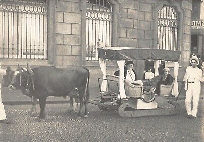 Ox carts carro de bois funchal Madeira Portugal