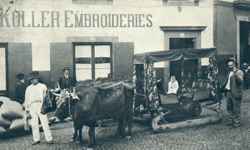 Ox carts carro de bois funchal Madeira Portugal