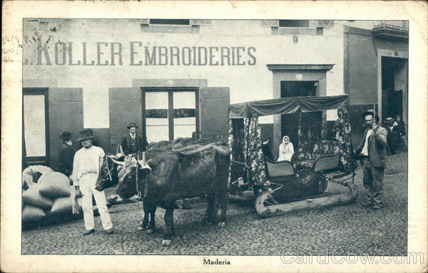 Ox carts carro de bois funchal Madeira Portugal