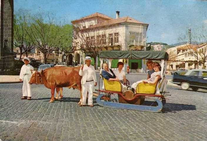 Ox carts carro de bois funchal Madeira Portugal