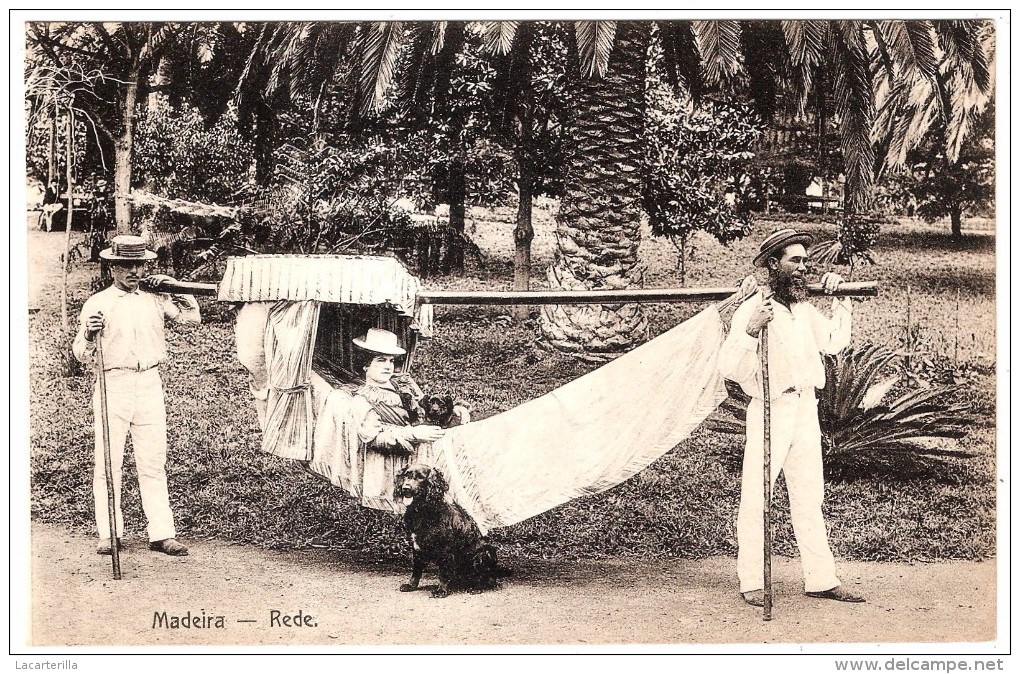 Hamac Madère Transport transporte em rede Portugal