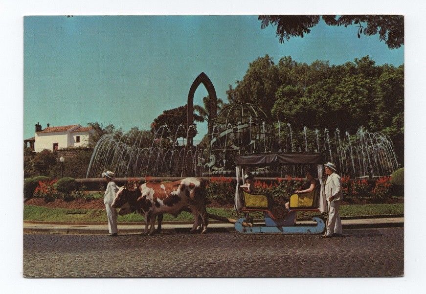 ox carts Madeira Portugal Funchal 1970s