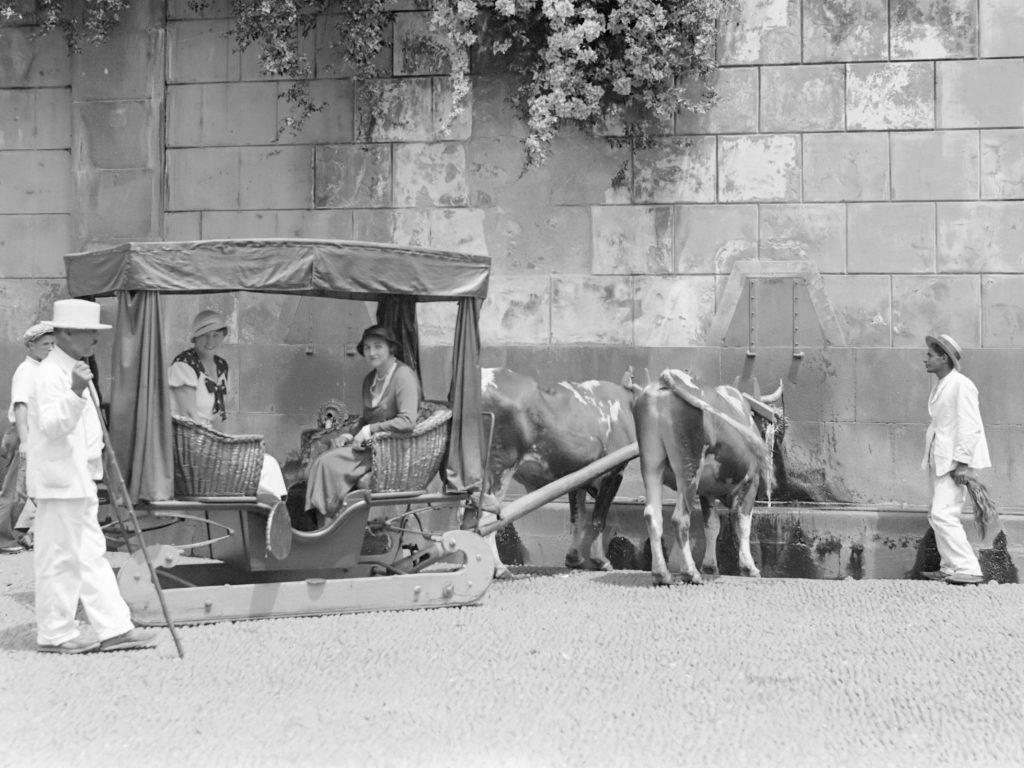 ox carts Madeira Portugal Funchal 1934