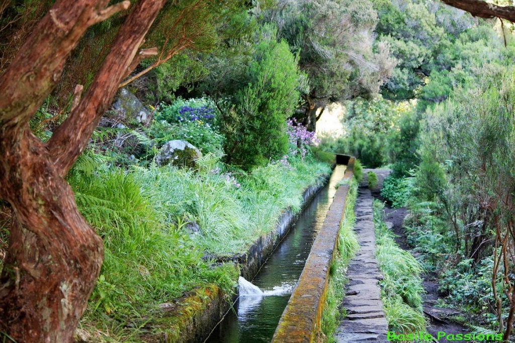 madeira-eiland-levadas-Portugal