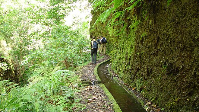 madeira-island-levadas-Portugal