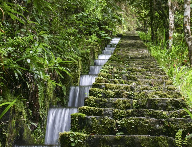 madeira-eiland-levadas-Portugal