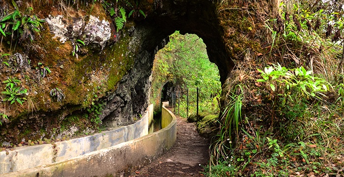 madeira-eiland-levadas-Portugal