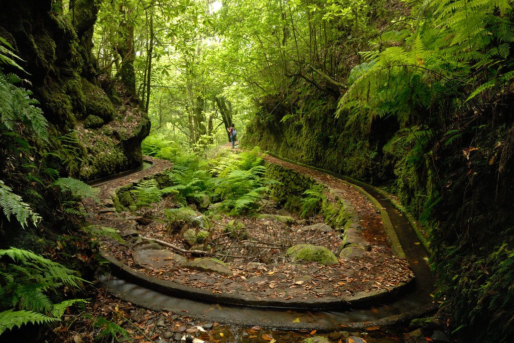 madeira-island-levadas-Portugal