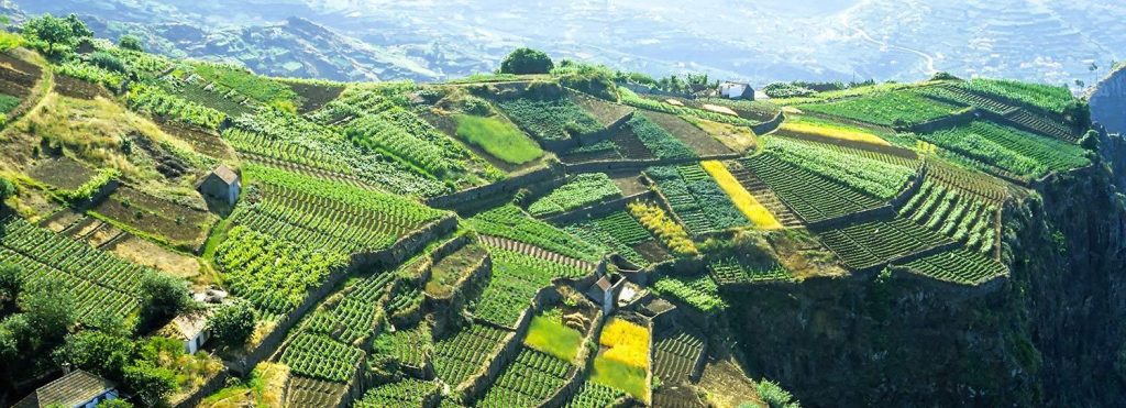 Terraced Fields Madeira Portugal Poios 