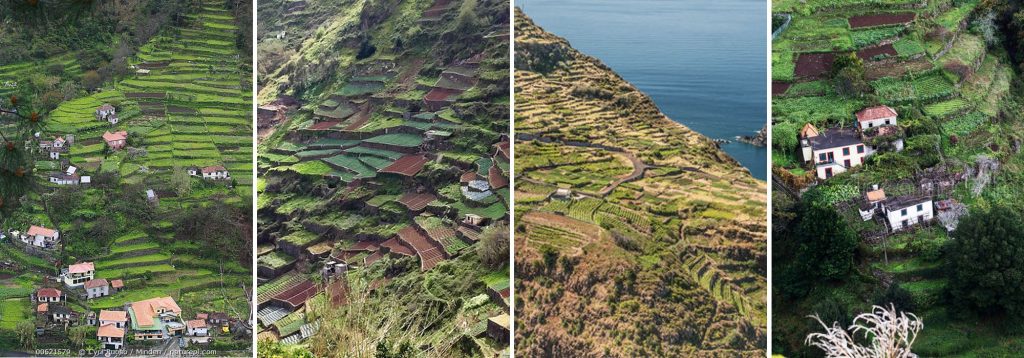 Terraced Fields Madeira Portugal Poios