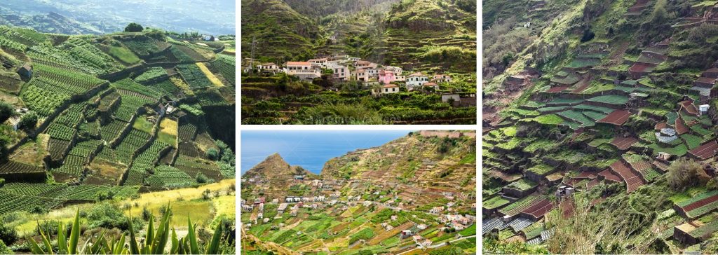 Terraced Fields Madeira Portugal Poios