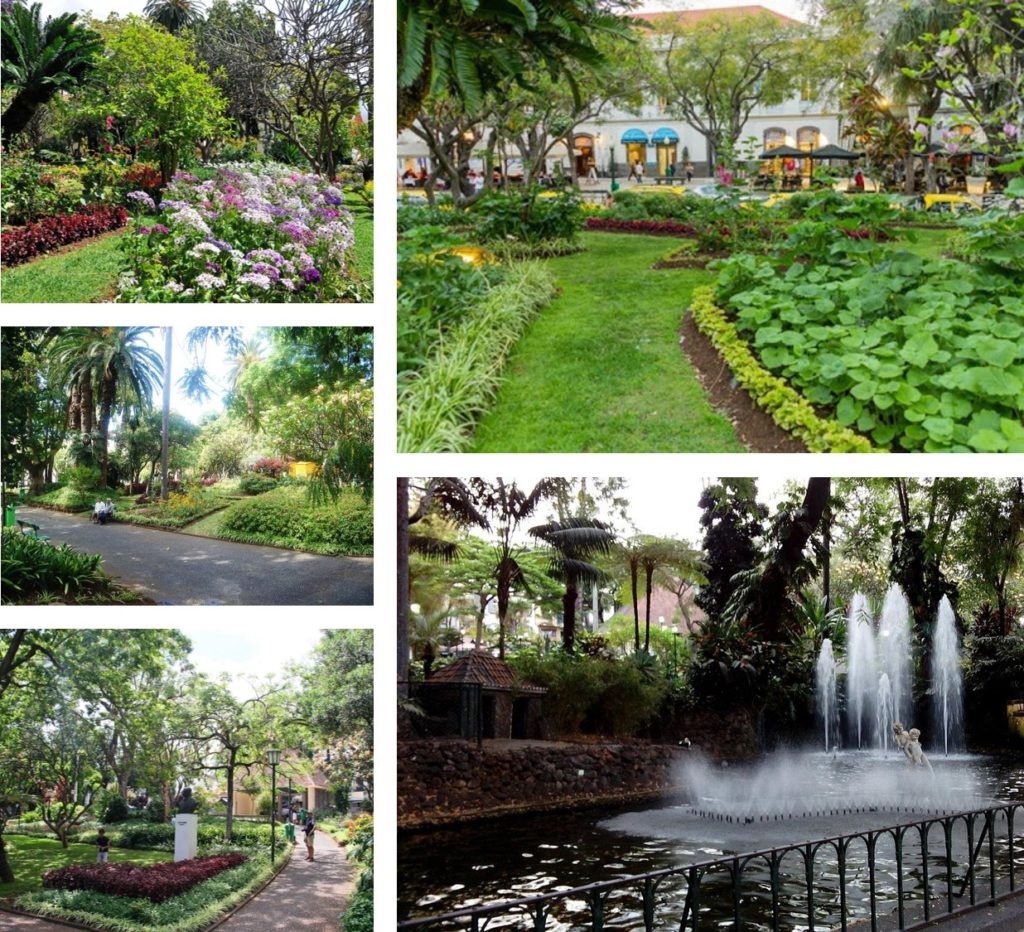 Funchal Botanical Garden Madeira Portugal