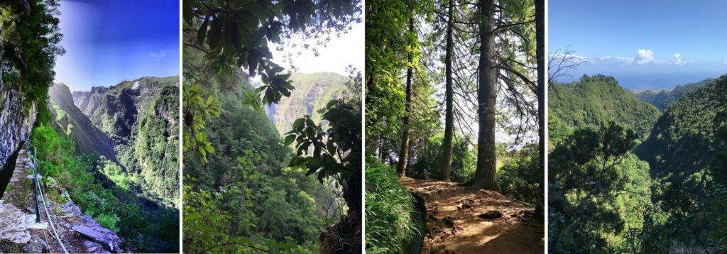 Levada Caldeirao Verde Green Cauldron trail Madeira