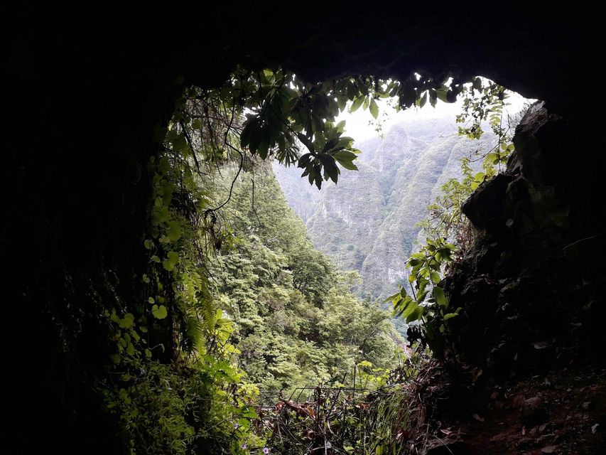 Levada do Caldeirao Verde Madeira Portugal