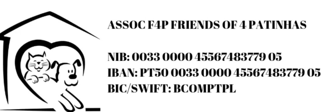 Friends of 4 Patinhas Madeira
Non for Profit Animal Wellbeing Association in Sao Vicente Madeira