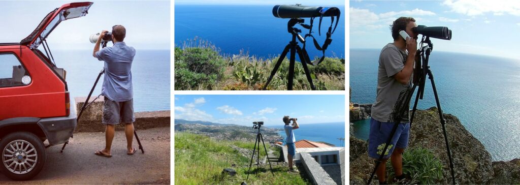 Walvissen spotten op het land, Madeira