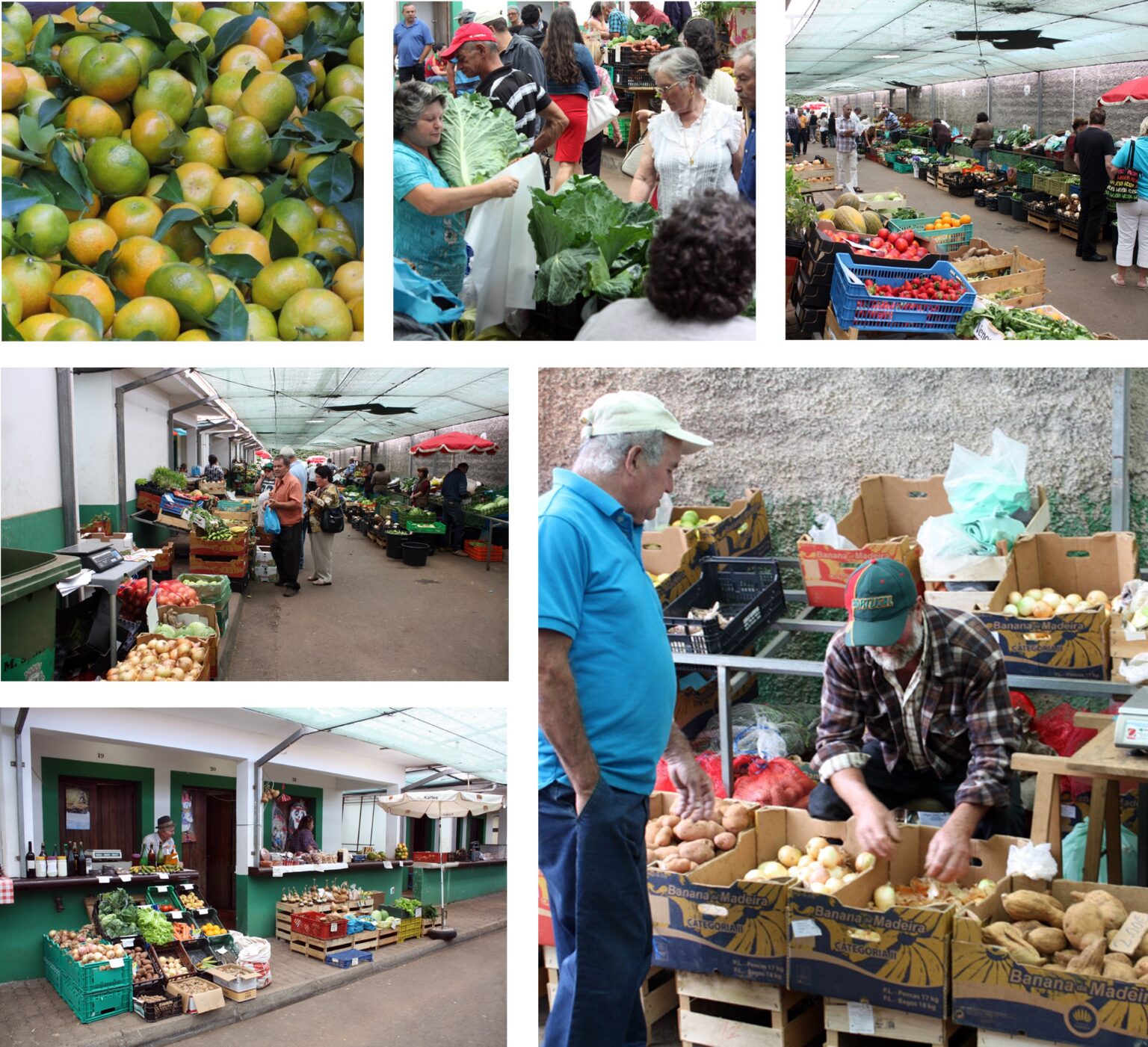 Bauernmarkt in Santo da Serra, Madeira Ein Paradies für Feinschmecker